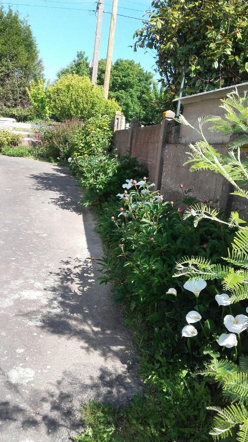 " Autour De La Baie " Villa Pleine-Fougères Eksteriør billede